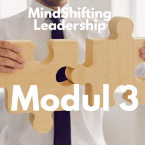 Modul 3 MindShifting Leadership™