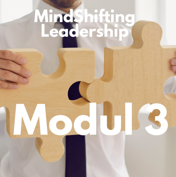 Modul 3 MindShifting Leadership™